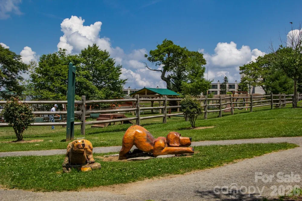 301 Pinnacle Inn Road #2116 Beech Mountain, NC 28604