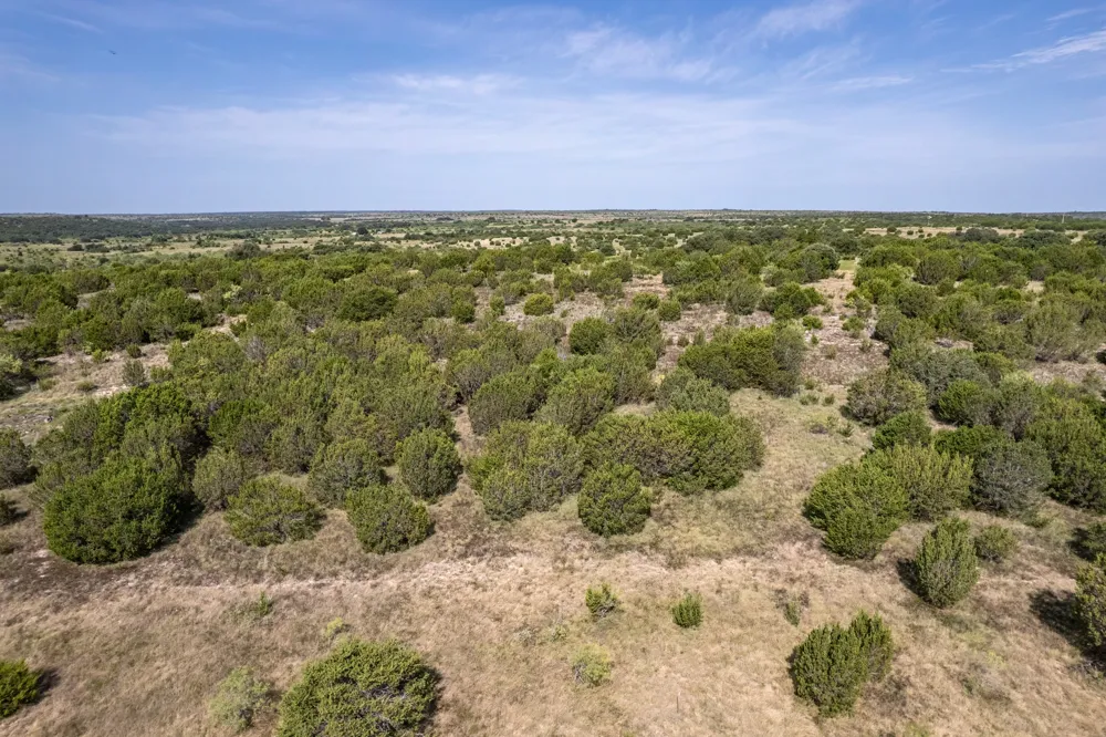 Bluff View Trail Gustine, TX 76455