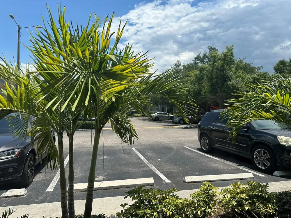 5440 S MACDILL AVENUE #1C Tampa, FL 33611