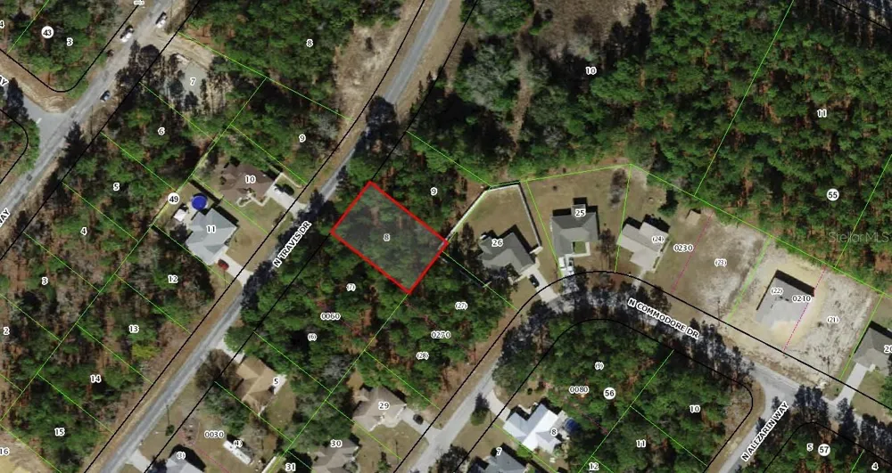 9562 TRAVIS DRIVE Citrus Springs, FL 34434