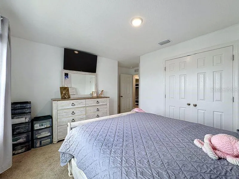 13005 UPWARD PLACE Riverview, FL 33579