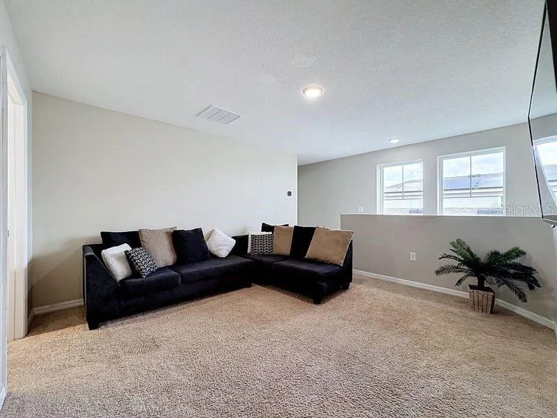 13005 UPWARD PLACE Riverview, FL 33579