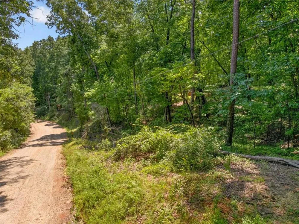 0 Waters Edge Drive Clarkesville, GA 30523