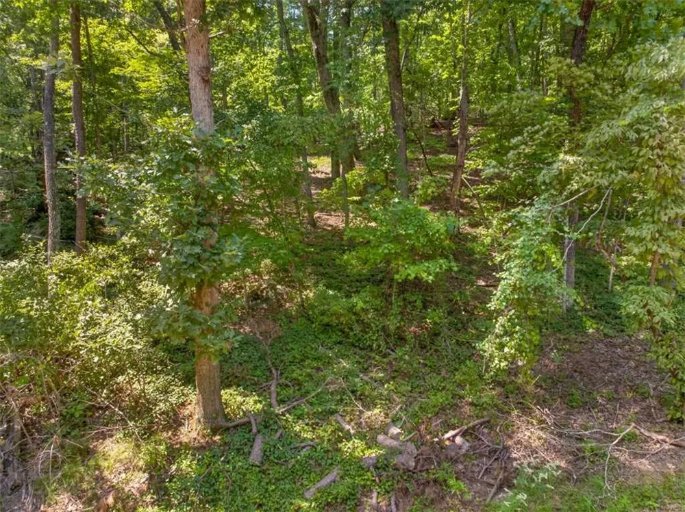 0 Waters Edge Drive Clarkesville, GA 30523