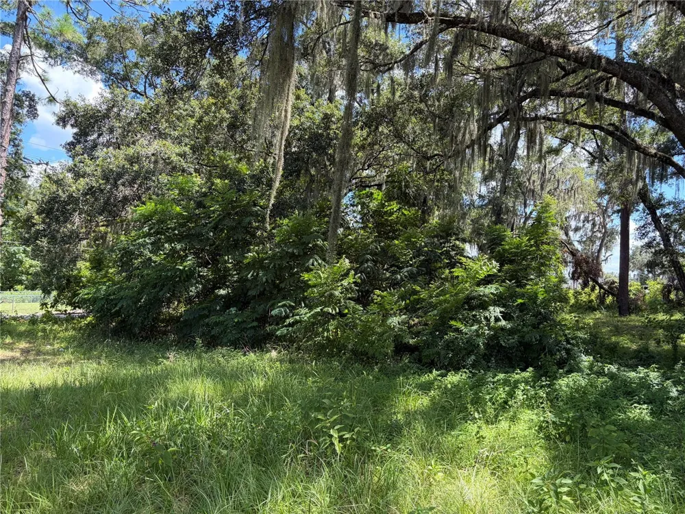 2100 NW 21ST STREET ocala, FL 34475
