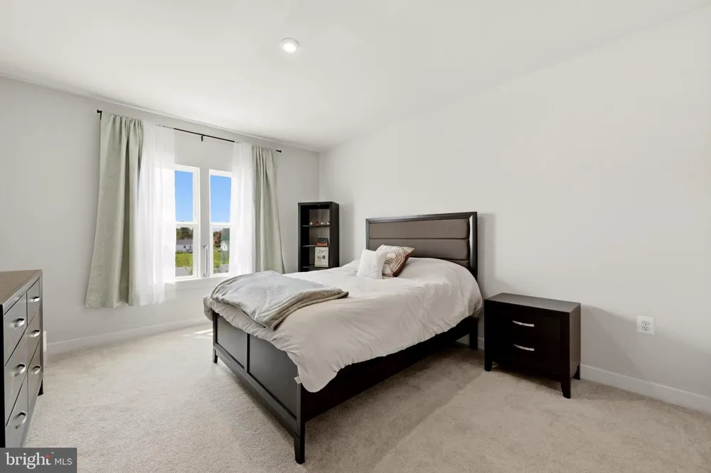 151 MCCORMICK #203 Winchester, VA 22602