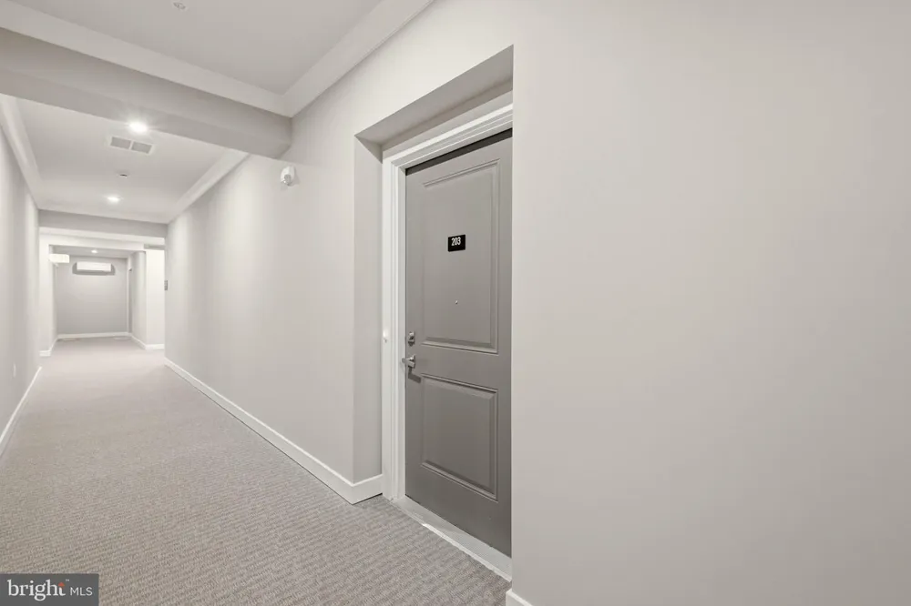 151 MCCORMICK #203 Winchester, VA 22602