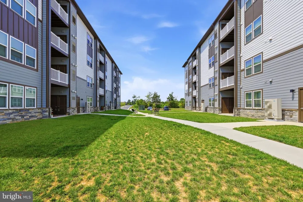 151 MCCORMICK #203 Winchester, VA 22602