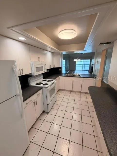 4109 FAIRVIEW VISTA POINT #315 Orlando, FL 32804