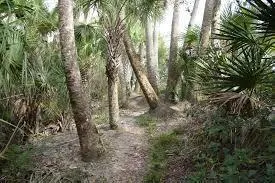 722 SE Arton Lane Port St. Lucie, FL 34983