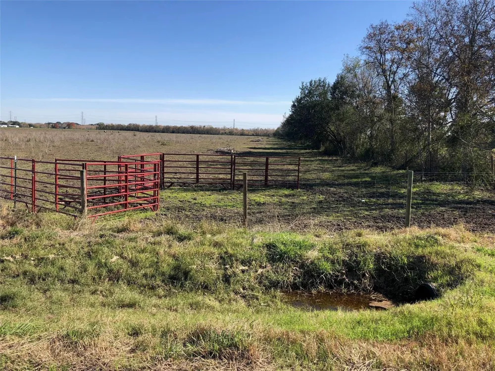 Dannhaus Road Needville, TX 77461