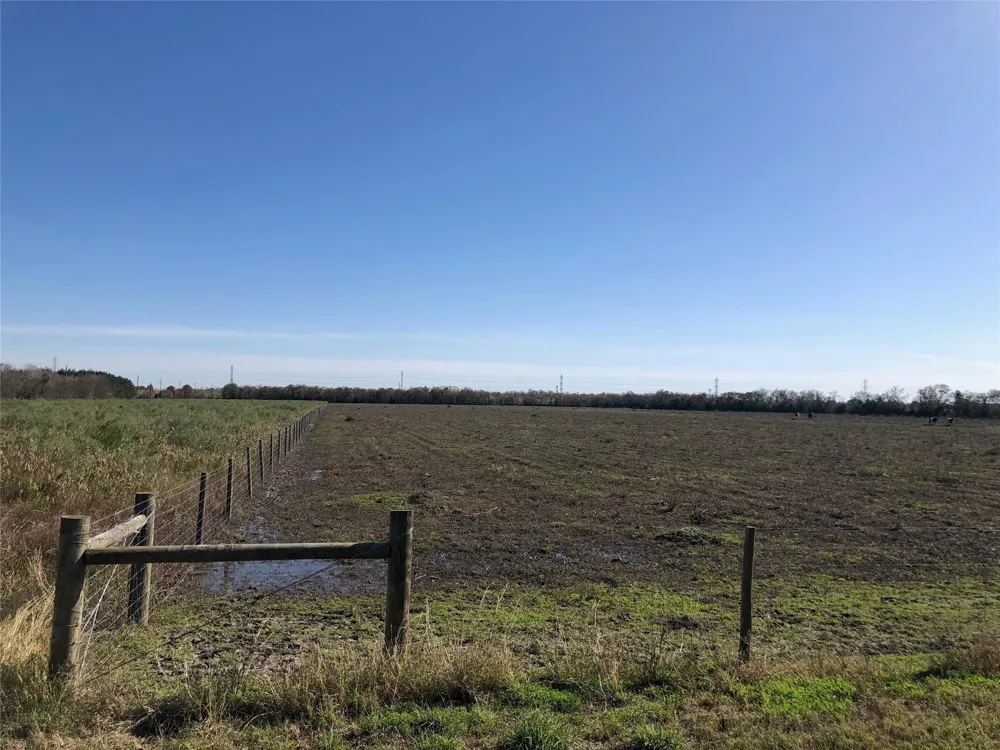 Dannhaus Road Needville, TX 77461