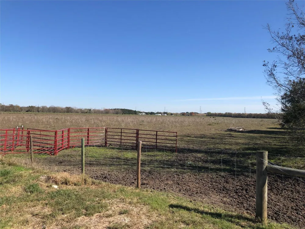 Dannhaus Road Needville, TX 77461
