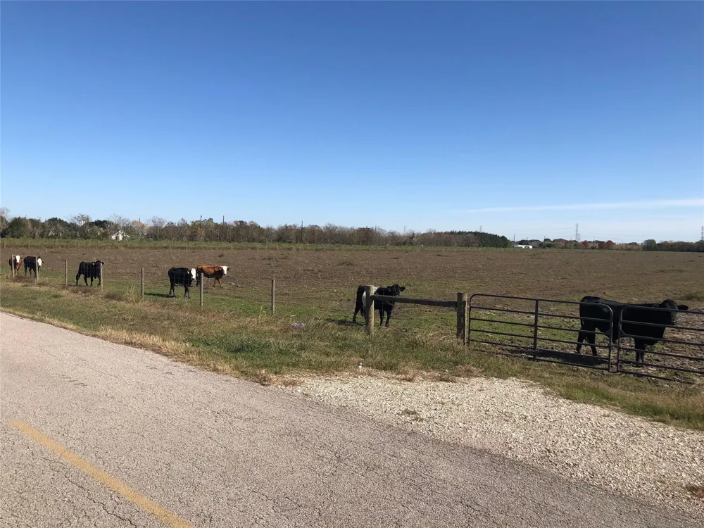 Dannhaus Road Needville, TX 77461