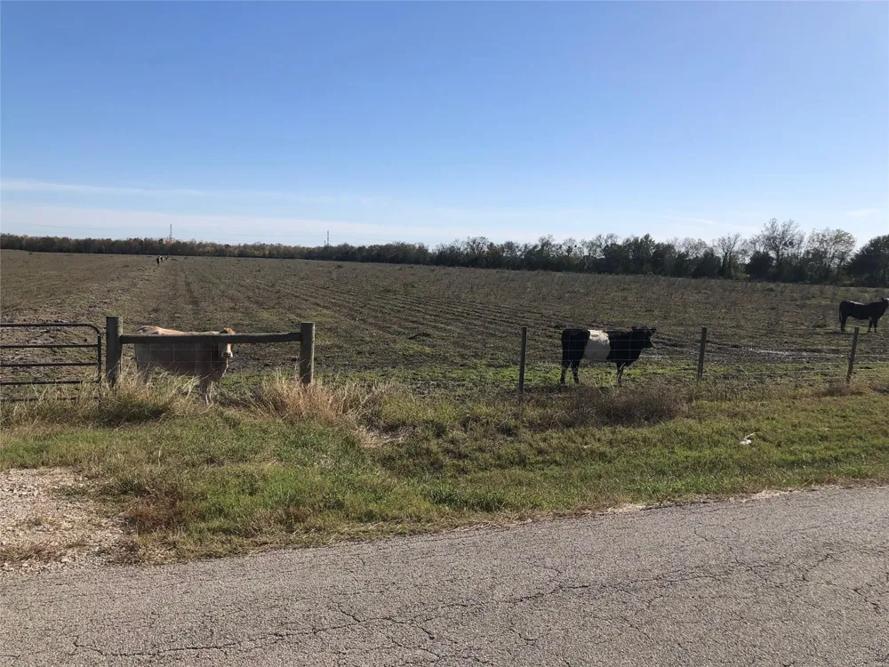 Dannhaus Road Needville, TX 77461
