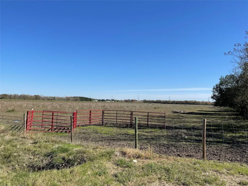 Dannhaus Road Needville, TX 77461