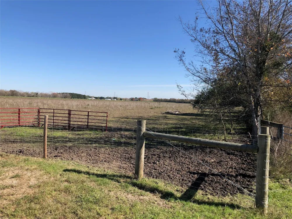 Dannhaus Road Needville, TX 77461