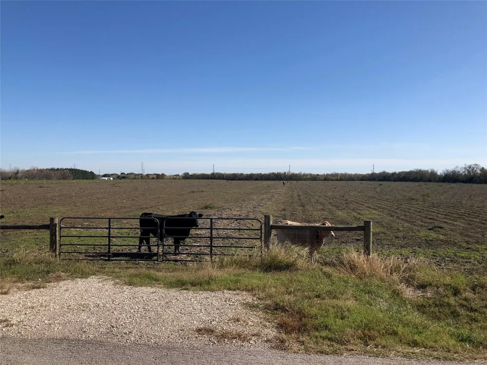 Dannhaus Road Needville, TX 77461