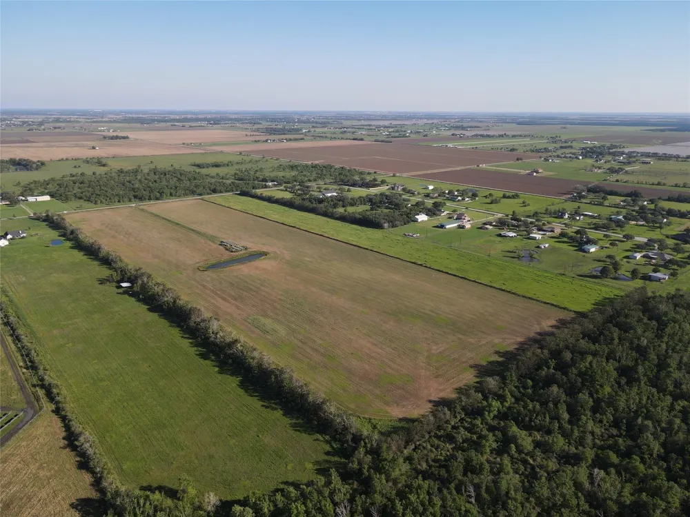 Dannhaus Road Needville, TX 77461