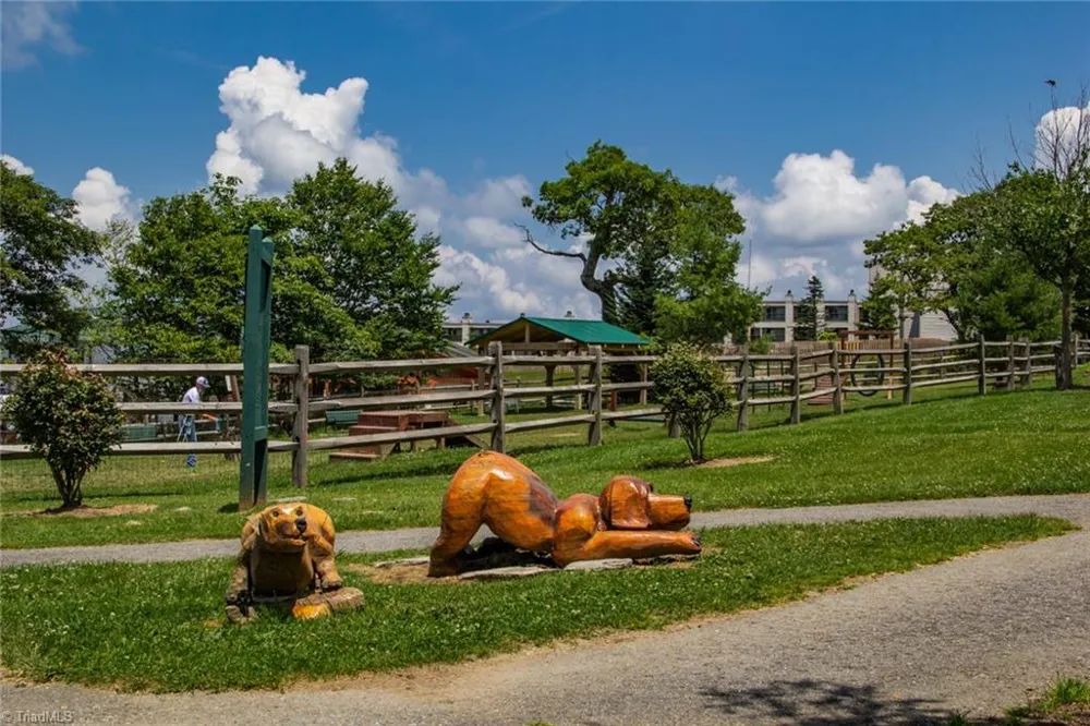 301 Pinnacle Inn Road #2116 Beech Mountain, NC 28604