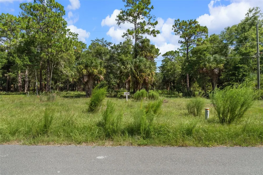 13707 W FOSS GROVES PATH Inglis, FL 34449