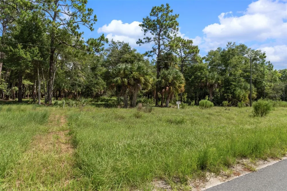 13707 W FOSS GROVES PATH Inglis, FL 34449