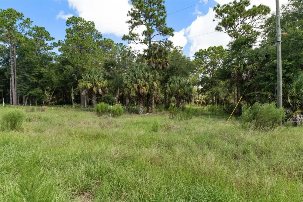 13707 W FOSS GROVES PATH Inglis, FL 34449