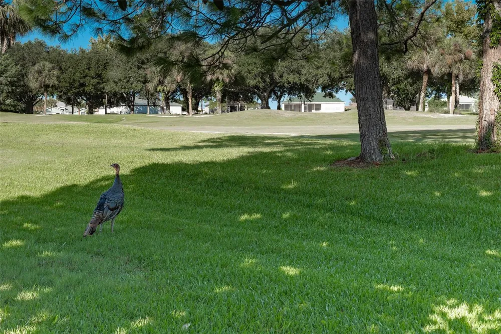 15702 SW 11TH TERRACE ROAD ocala, FL 34473
