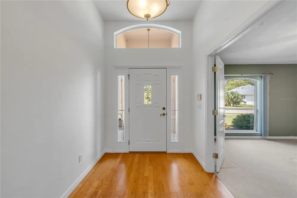 1858 TURNBULL LAKES DRIVE New Smyrna Beach, FL 32168