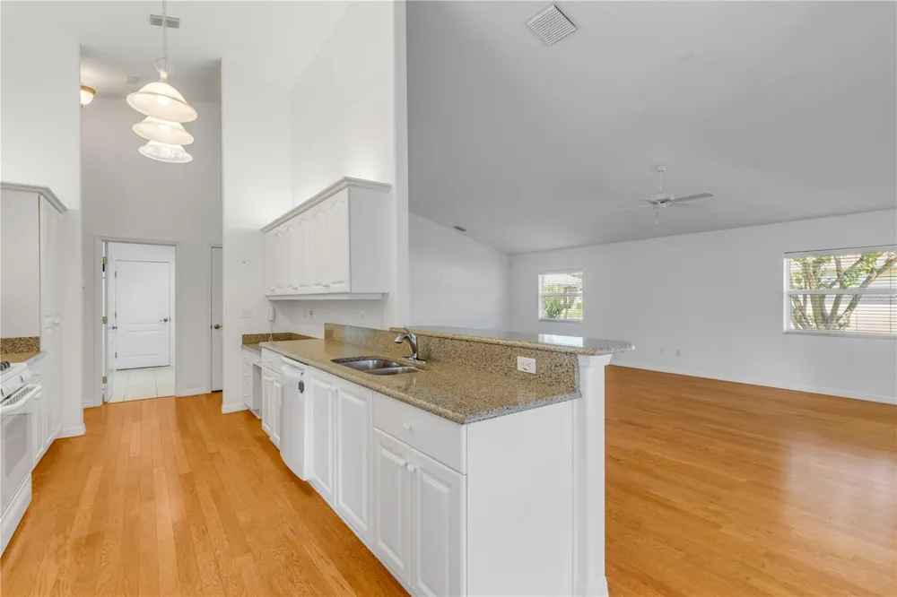 1858 TURNBULL LAKES DRIVE New Smyrna Beach, FL 32168