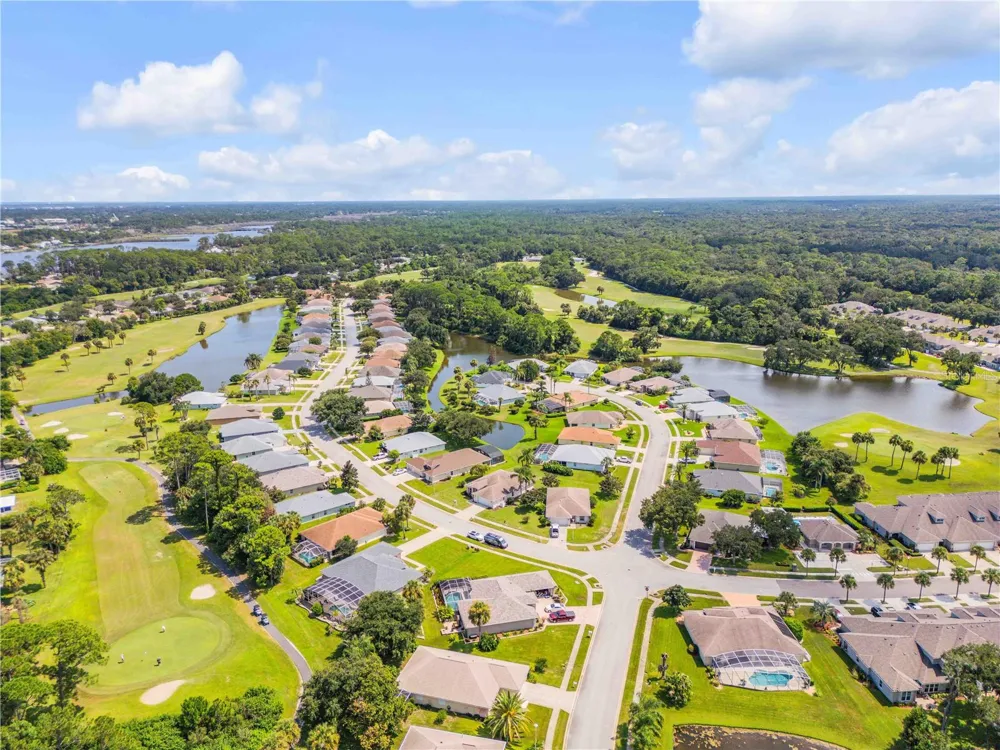 1858 TURNBULL LAKES DRIVE New Smyrna Beach, FL 32168