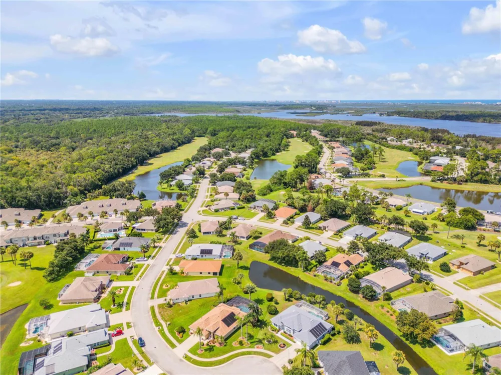 1858 TURNBULL LAKES DRIVE New Smyrna Beach, FL 32168