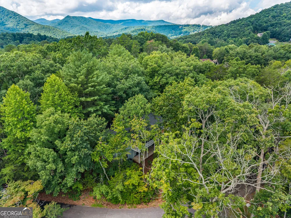 169 Windjammer SPUR Hiawassee, GA 30546