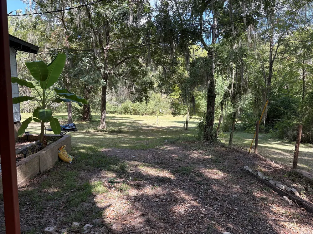 213 Dogwood Drive Elm Grove, LA 71051