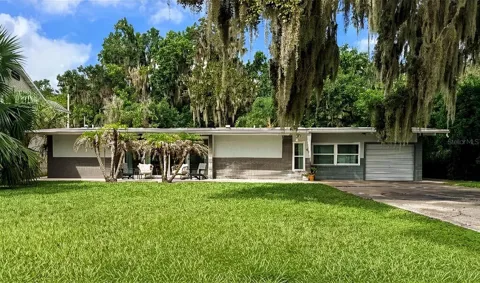 46 PALM DRIVE