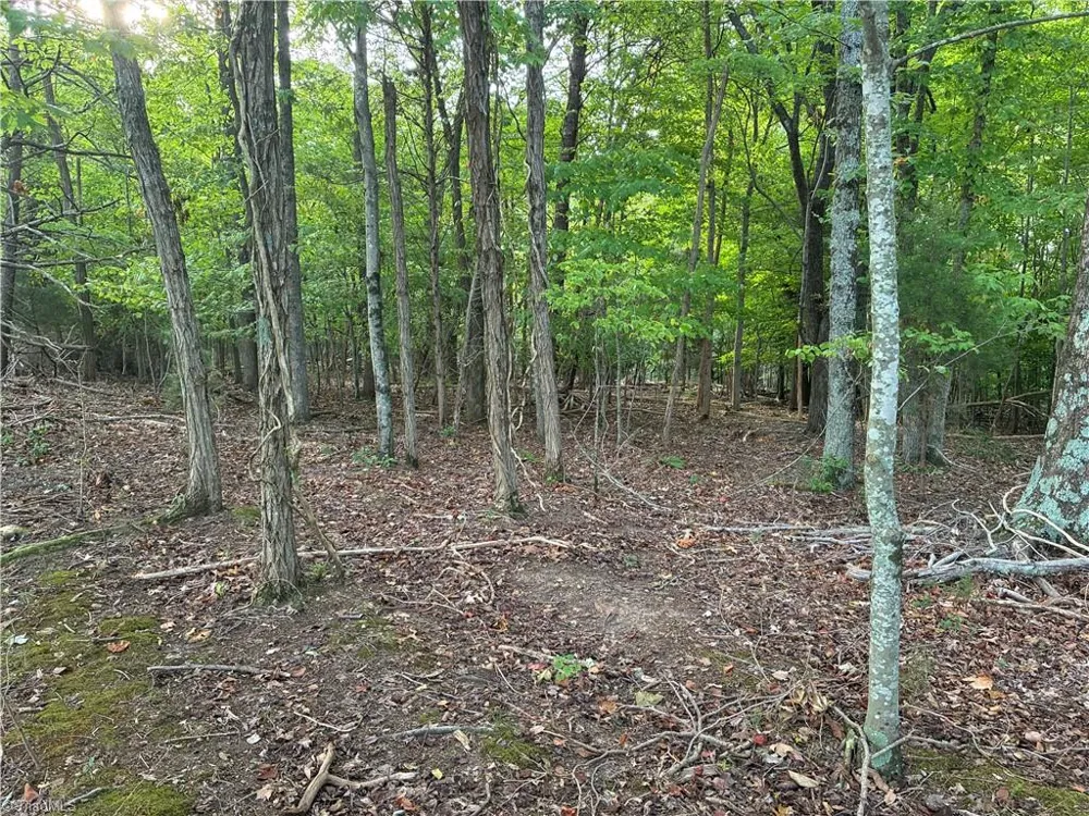 00 Bethany Road Reidsville, NC 27320