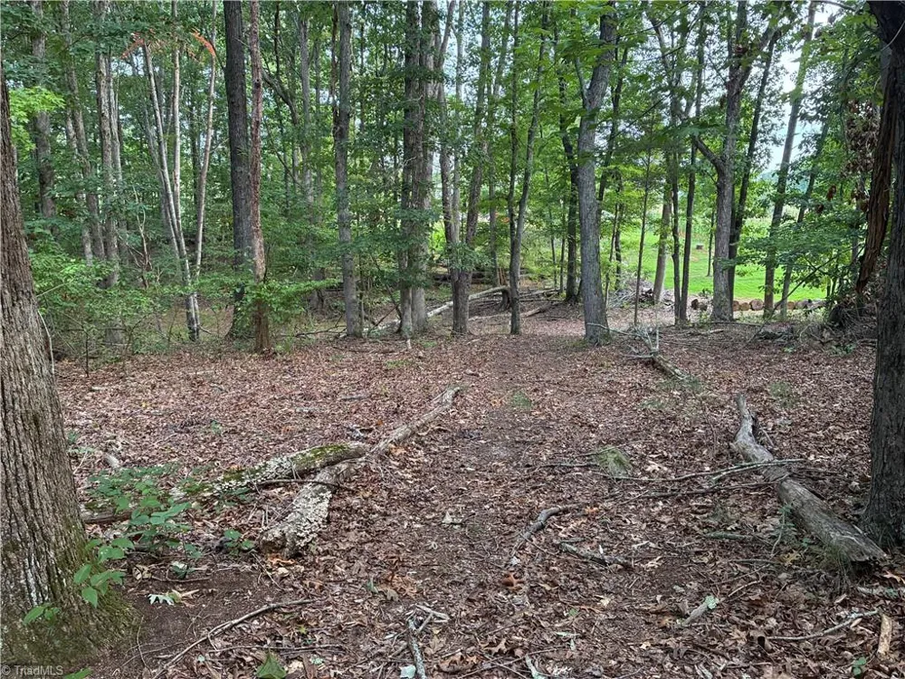 00 Bethany Road Reidsville, NC 27320