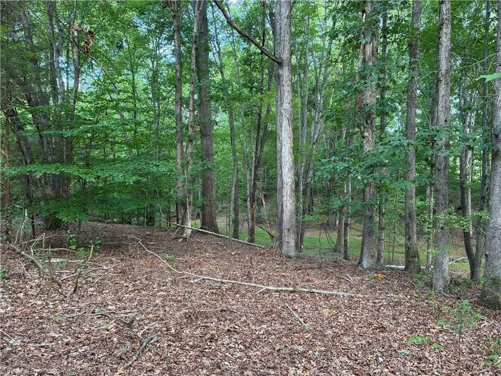 00 Bethany Road Reidsville, NC 27320