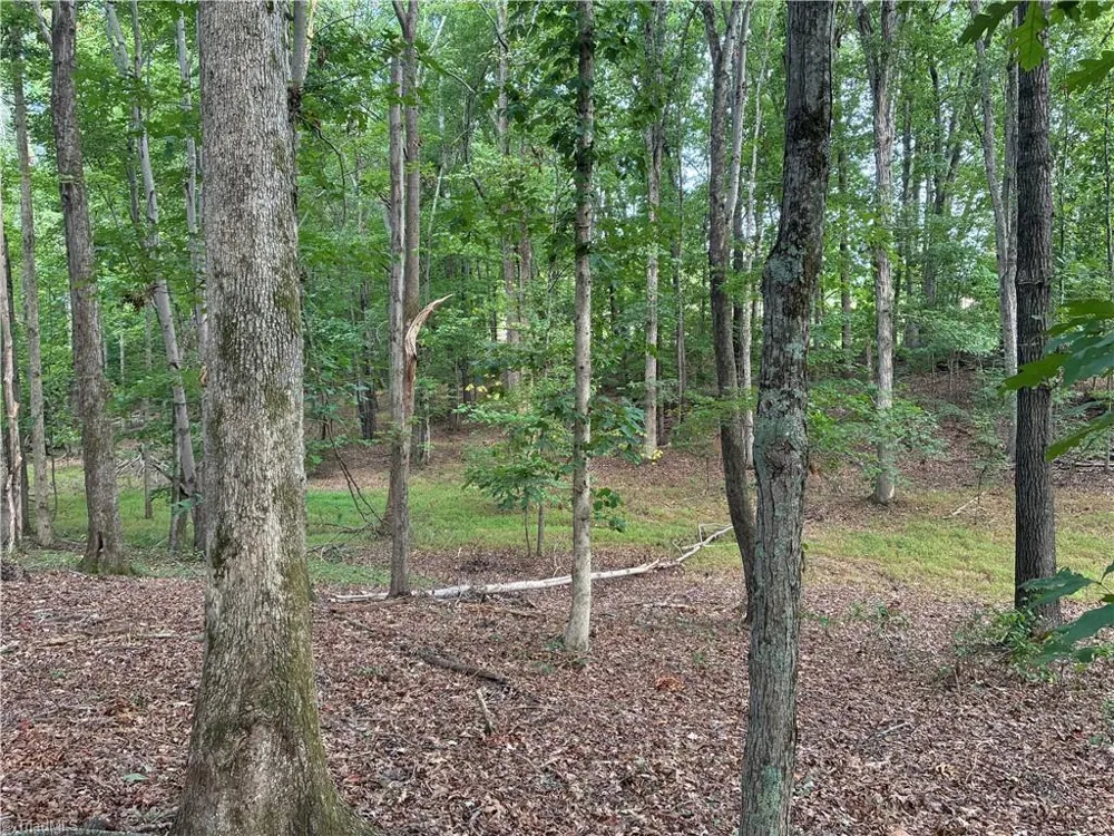 00 Bethany Road Reidsville, NC 27320