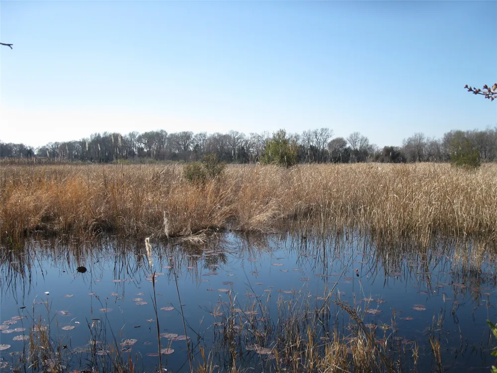 VZ County Road 4701 Ben Wheeler, TX 75754