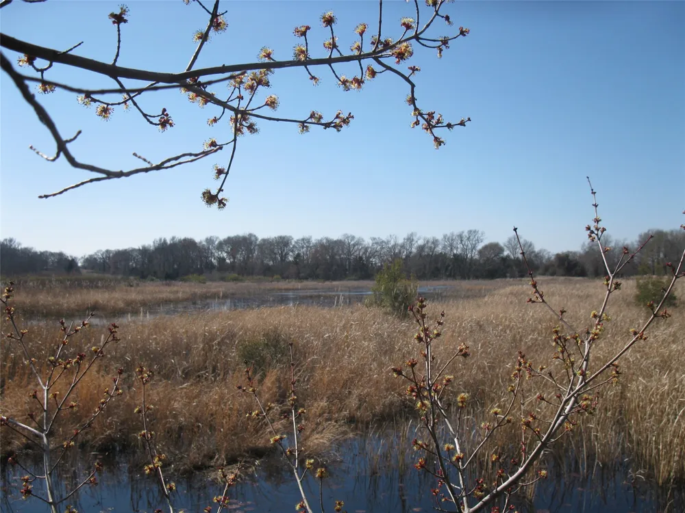 VZ County Road 4701 Ben Wheeler, TX 75754
