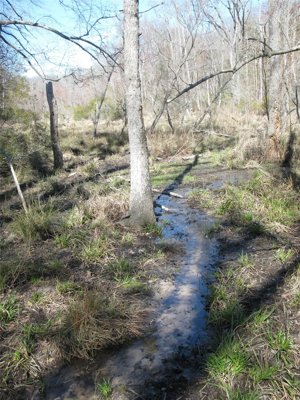 VZ County Road 4701 Ben Wheeler, TX 75754