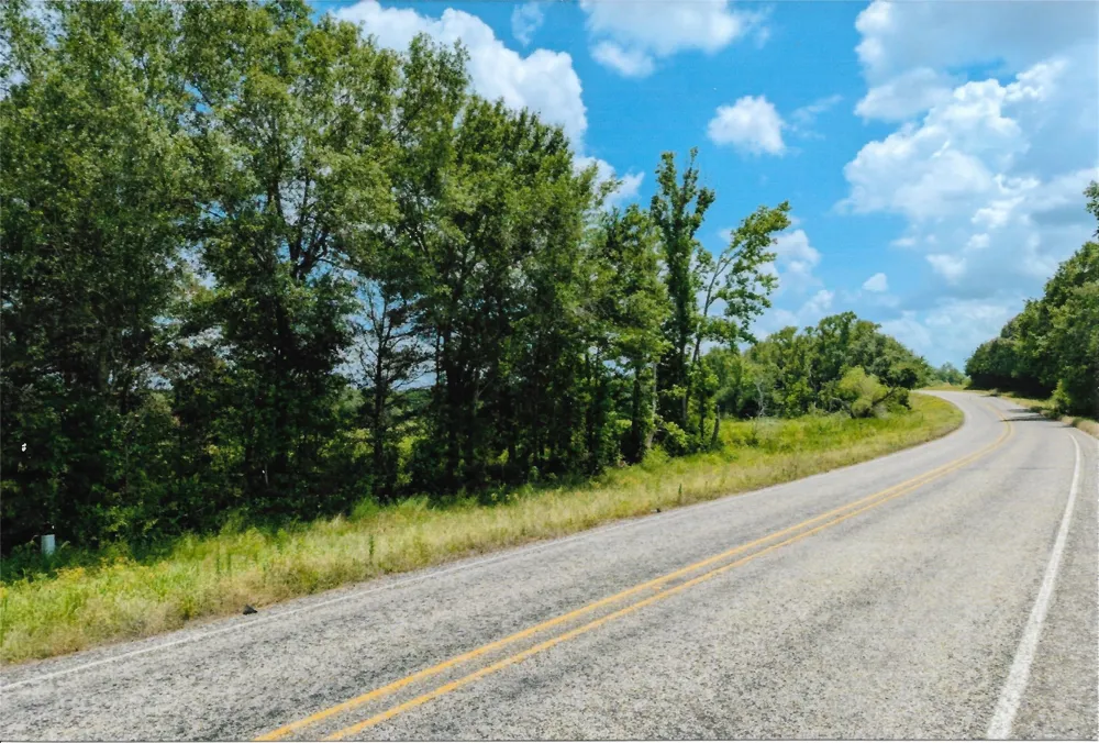 VZ County Road 4701 Ben Wheeler, TX 75754