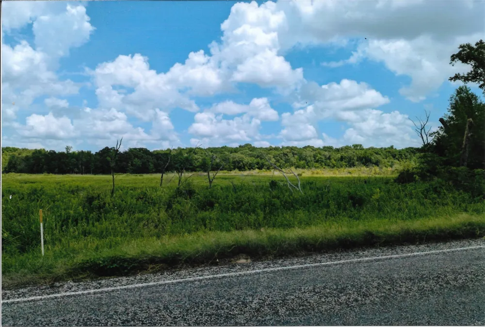 VZ County Road 4701 Ben Wheeler, TX 75754
