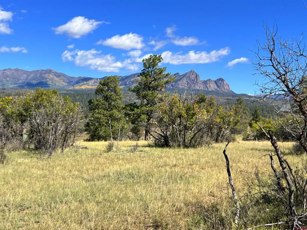 362 Mary's Court Pagosa Springs, CO 81128