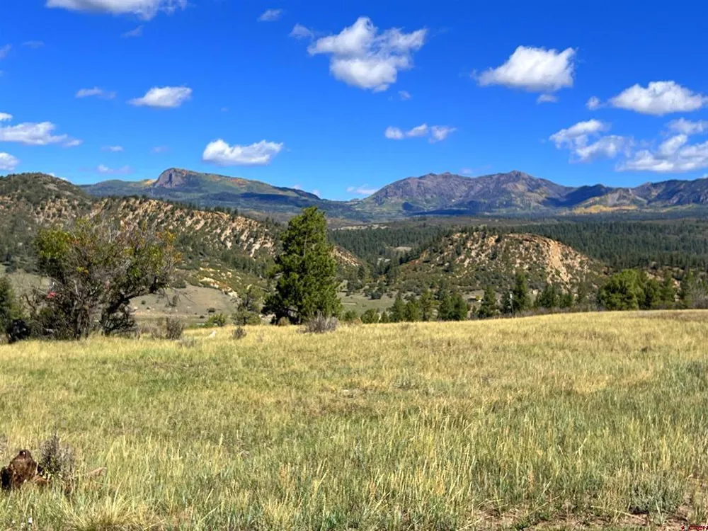 362 Mary's Court Pagosa Springs, CO 81128