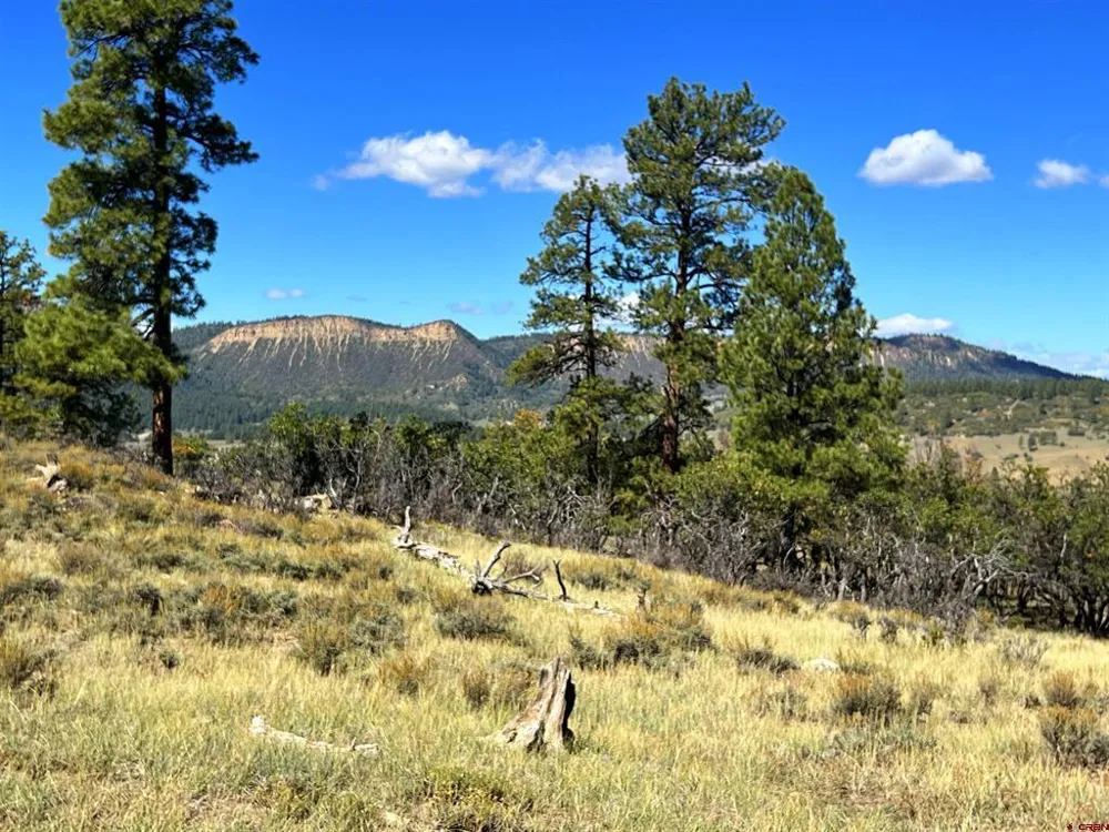 362 Mary's Court Pagosa Springs, CO 81128