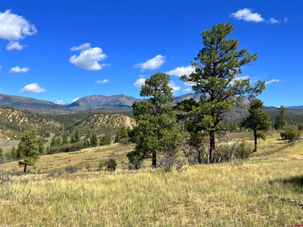 362 Mary's Court Pagosa Springs, CO 81128