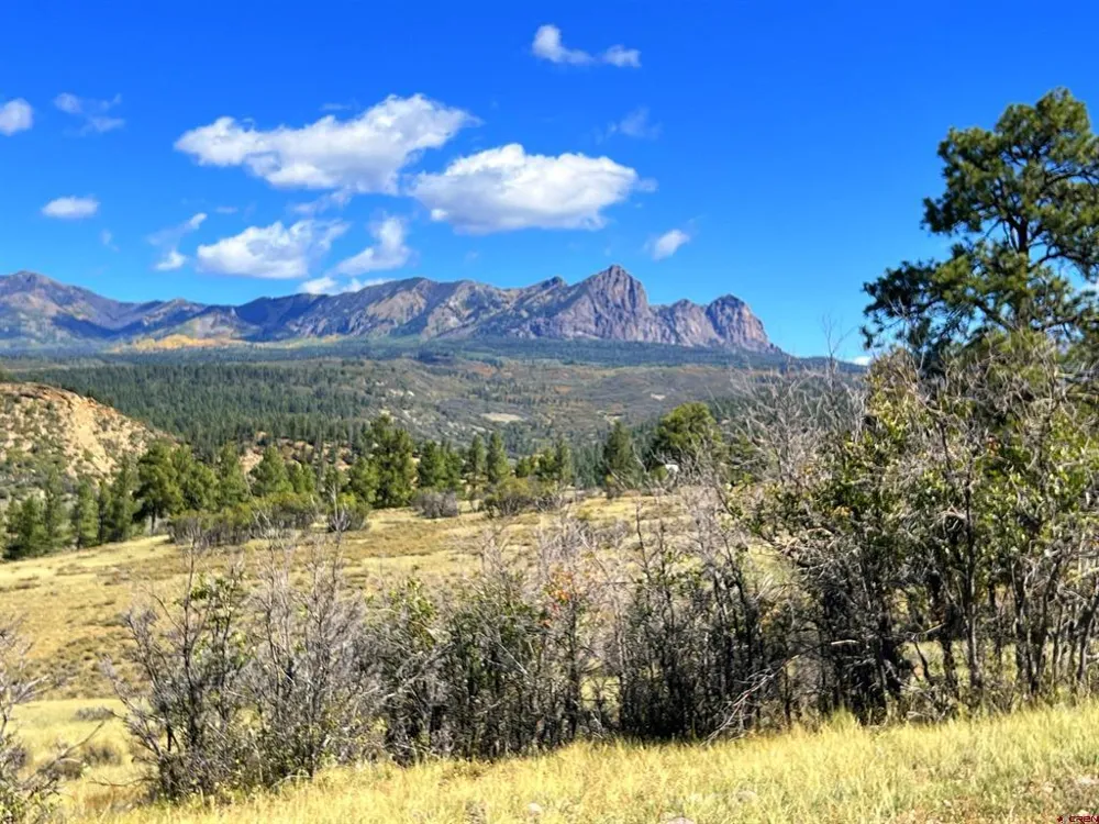 362 Mary's Court Pagosa Springs, CO 81128