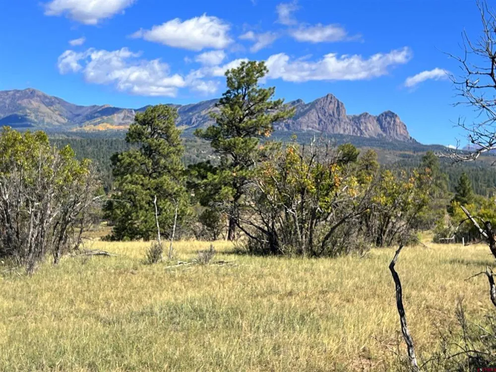 362 Mary's Court Pagosa Springs, CO 81128